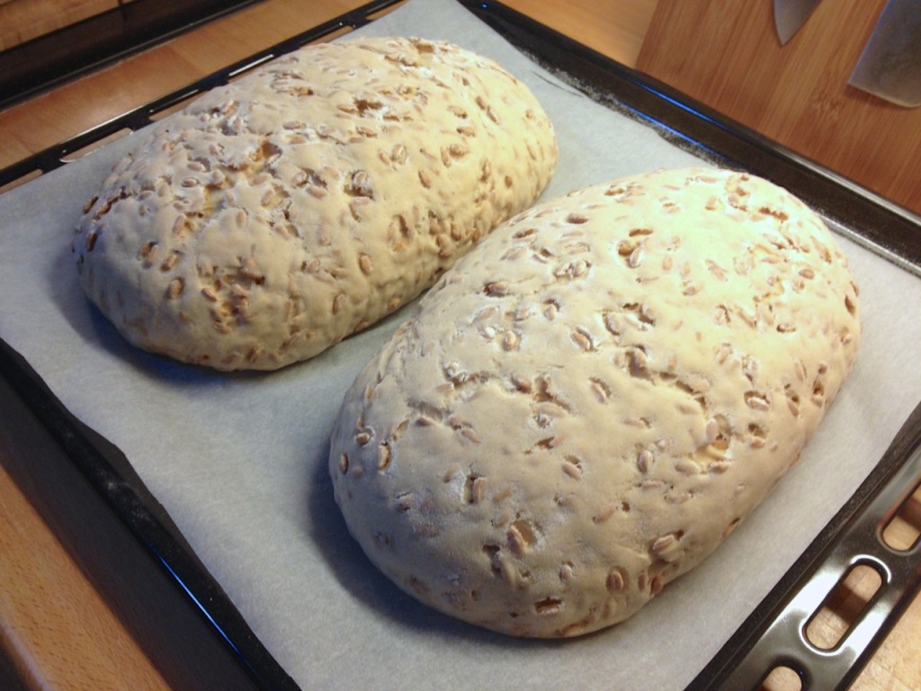 Fertig geruhte Brotlaibe